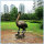 Garden African Animal Bronze Ostrich Statue